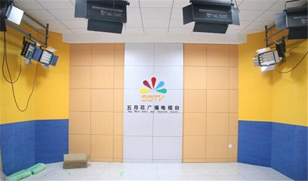 聚酯纖維吸音板行業:雜牌聚酯纖維吸音板擾亂消費者視線